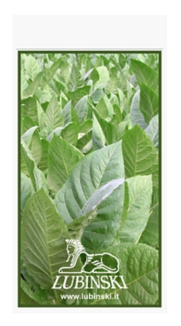 Buste umidificate Lubinski x 6/8 Sigari sigari Humibag