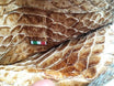 Nuovo Portatabacco Piccolo Floppy in pelle Made in Italy 100%