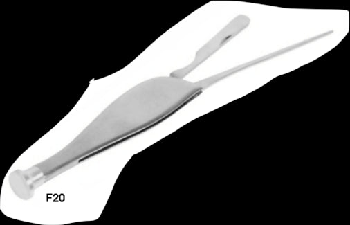 Pigino Curapipe Lubinski a forma di Delfino Acciaio Inox