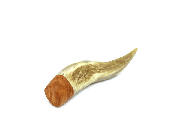 Pigino Per Pipa Pascucci in Corno