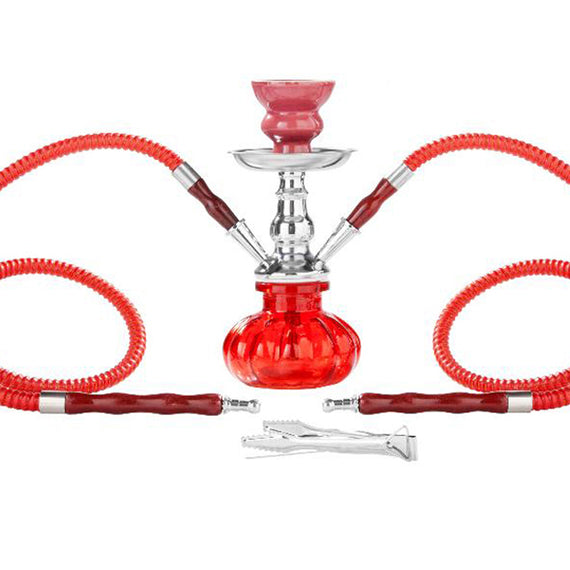 NOBLE HOOKAH Narghile Completa Shisha Narghile Resina squisita di alta  qualità,narghilè completo Con Tubo 150 Cm, Con Narghile Accesori Pinze  Carbone Testa : : Salute e cura della persona